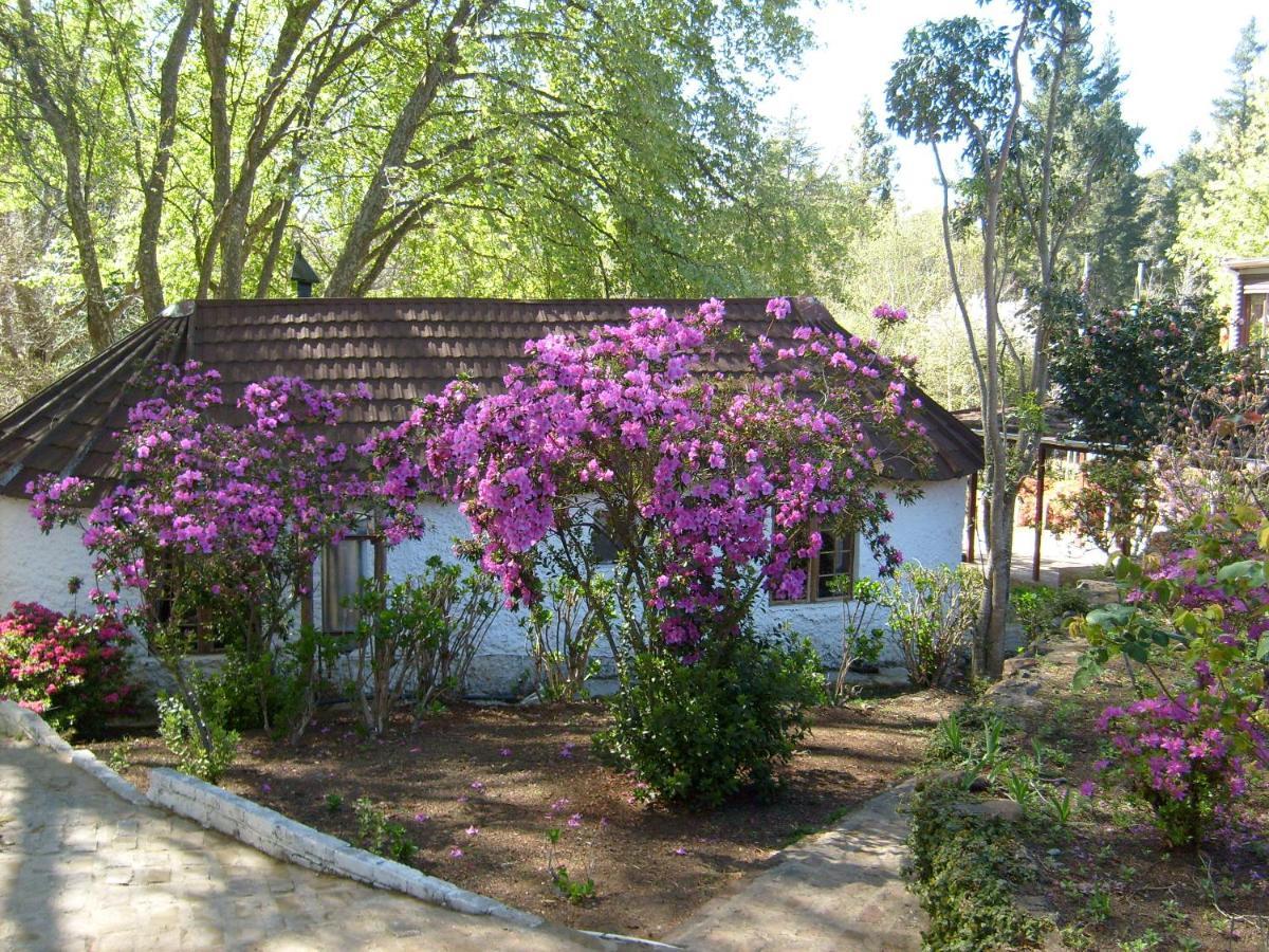 Kings Lodge Hotel Hogsback Dış mekan fotoğraf