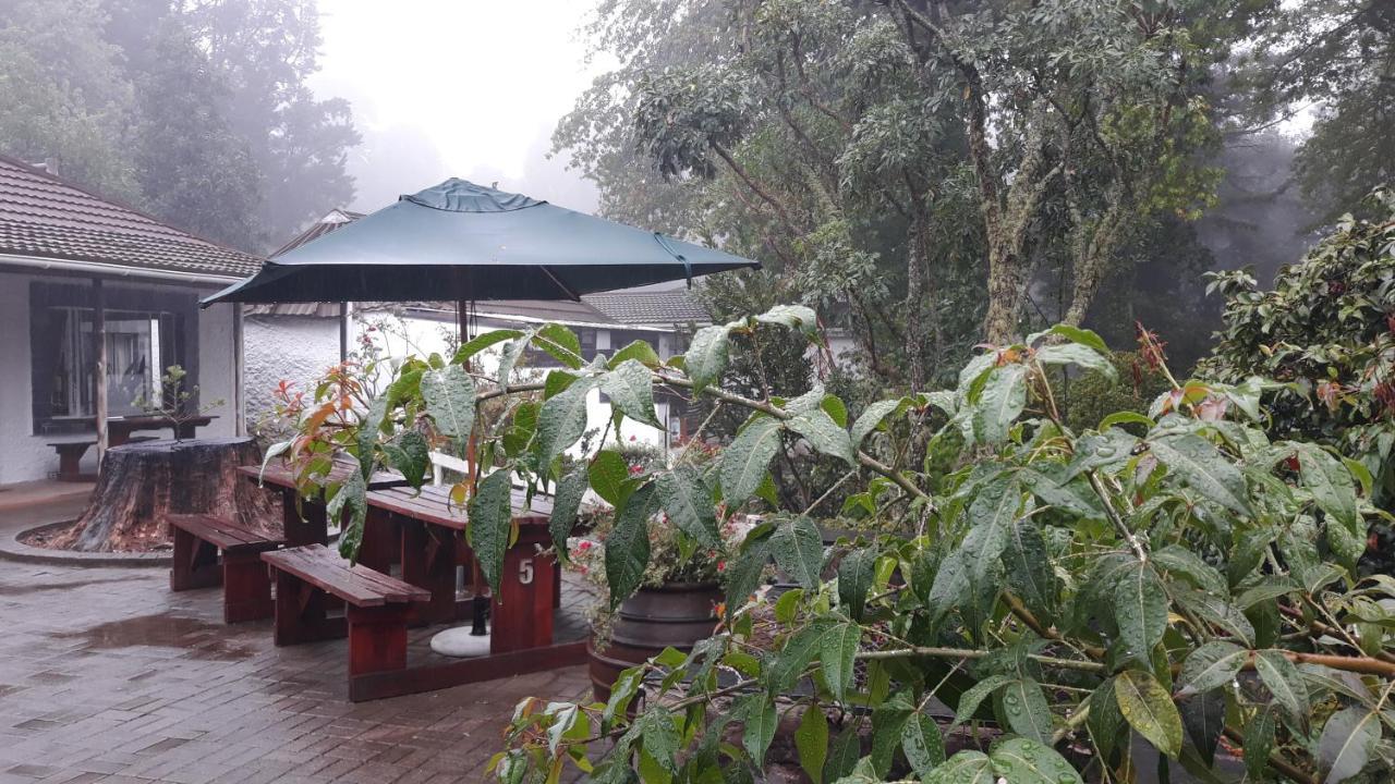 Kings Lodge Hotel Hogsback Dış mekan fotoğraf