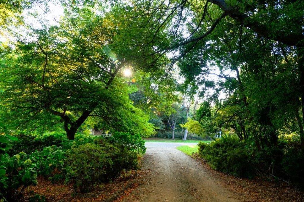 Kings Lodge Hotel Hogsback Dış mekan fotoğraf
