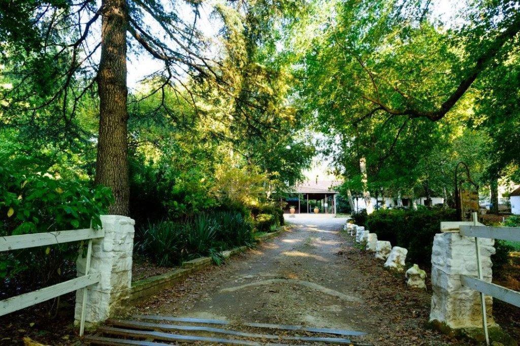 Kings Lodge Hotel Hogsback Dış mekan fotoğraf