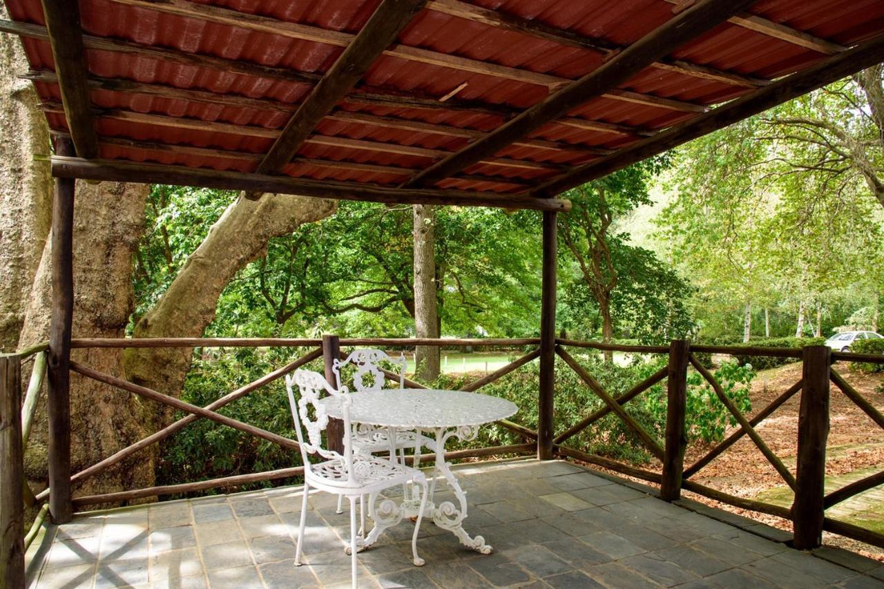 Kings Lodge Hotel Hogsback Dış mekan fotoğraf