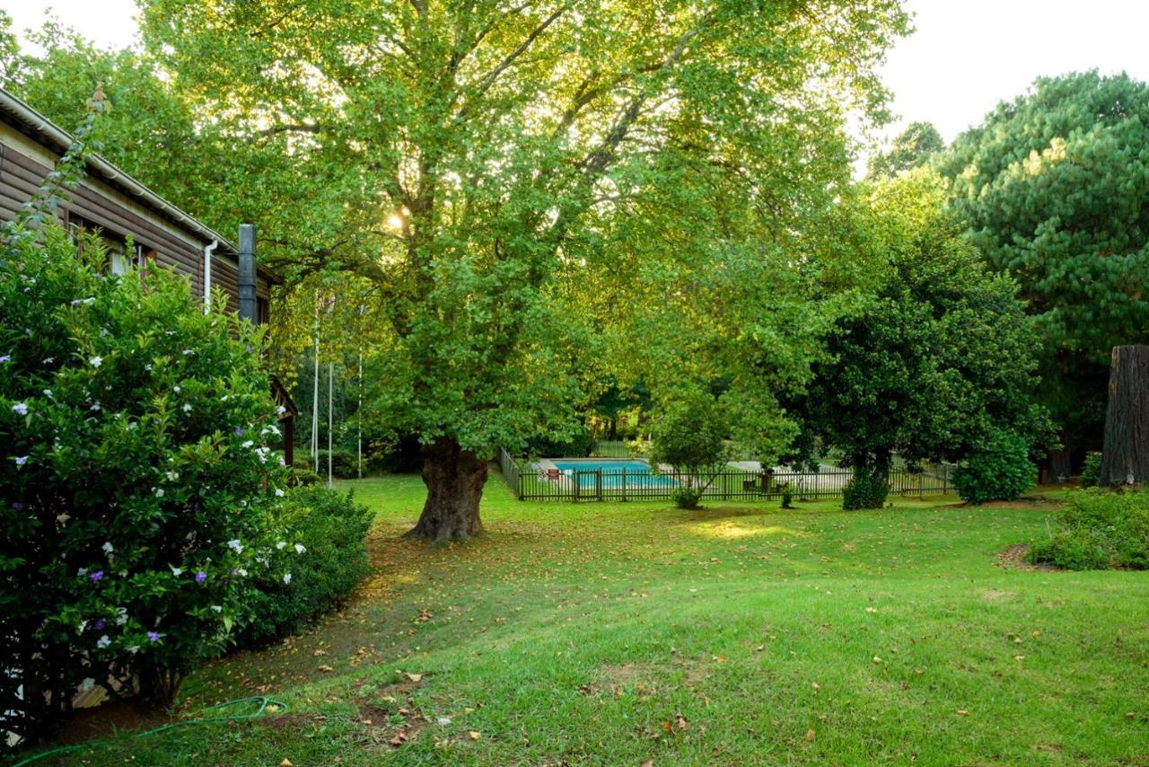 Kings Lodge Hotel Hogsback Dış mekan fotoğraf